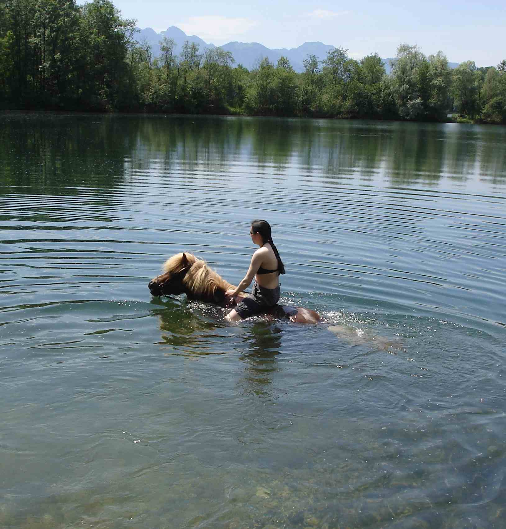 im Wolfgangsee